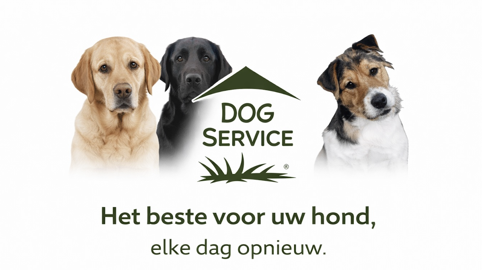 Dog Service Banner